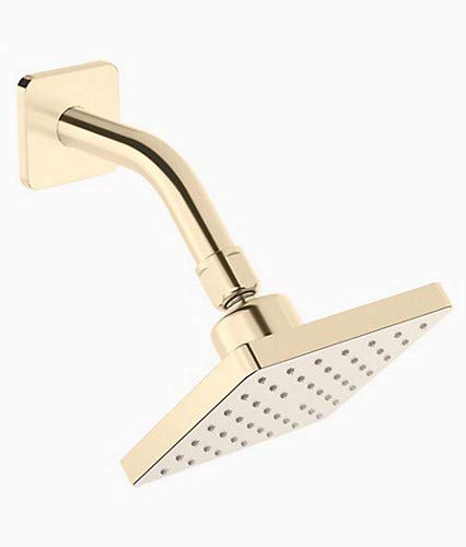 Kohler 22645IN-AF ABS Showerhead with Shower Arm